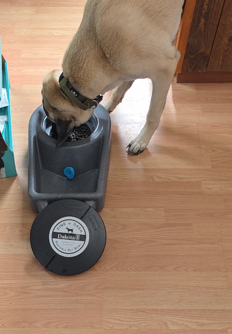 Dine ‘N Dash Feeder Review: Traveling with a Raw Fed Kangal